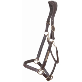 Leather Halter With Plate Anatomical Headpiece