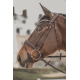 Marron/argent